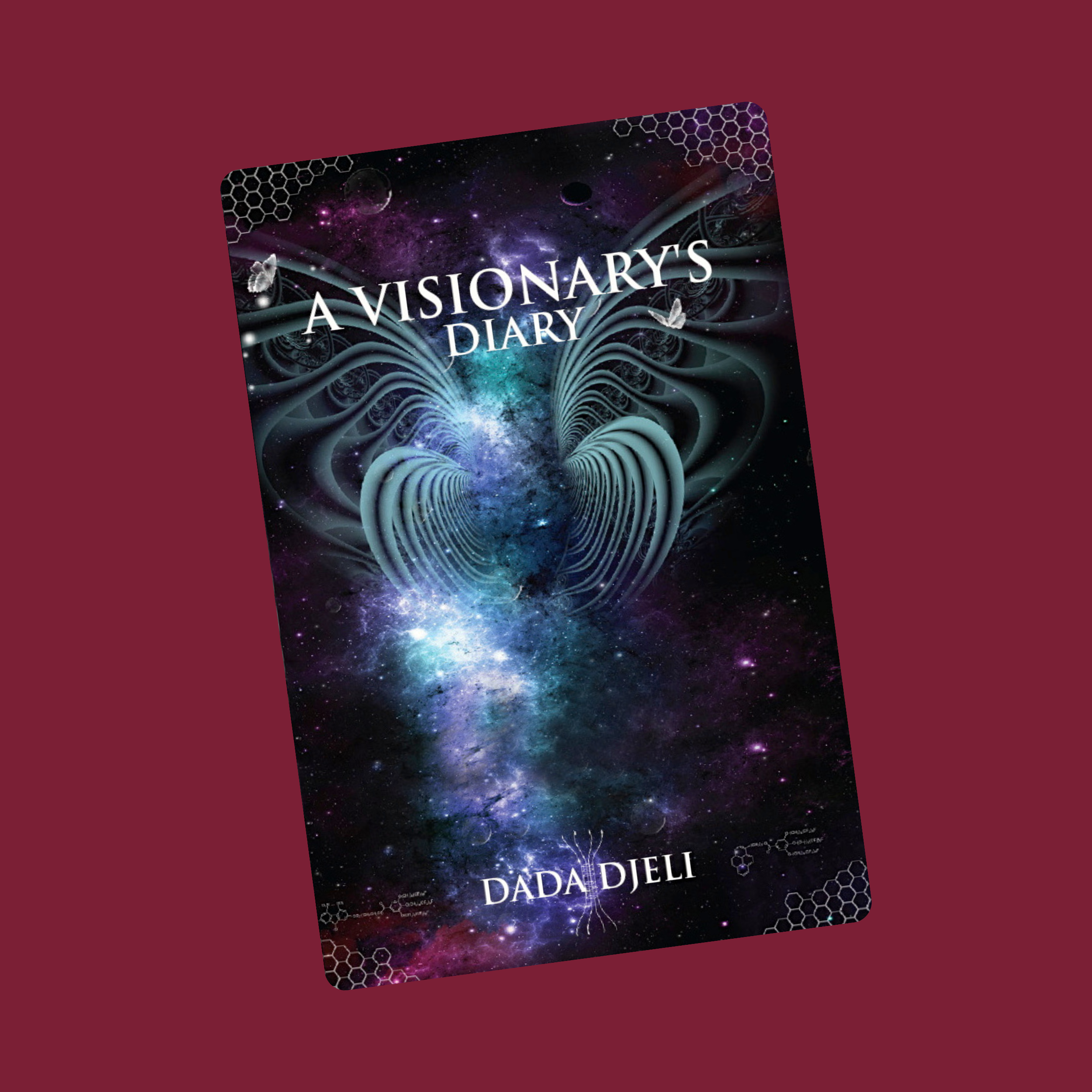 Book cover A Visionary's Diary